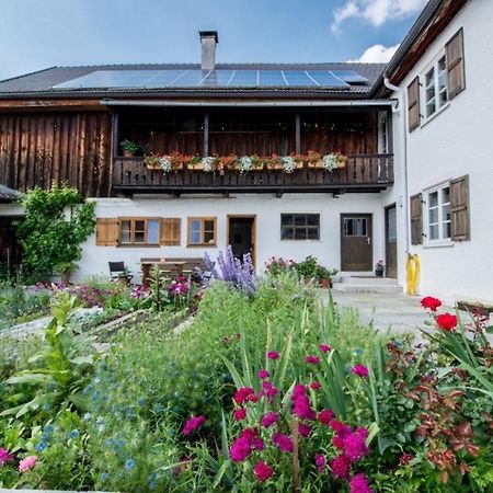 Ferienwohnung Lacherhof Seehausen am Staffelsee Dış mekan fotoğraf